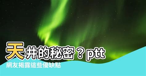 有天井的房子 ptt|[請益] 有天井的大樓問題